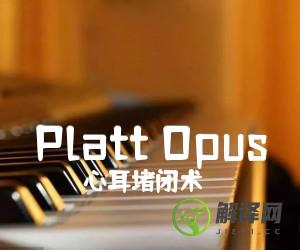 PlattOpus吉他谱,原版歌曲,简单未知调弹唱教学,六线谱指弹简谱2张图